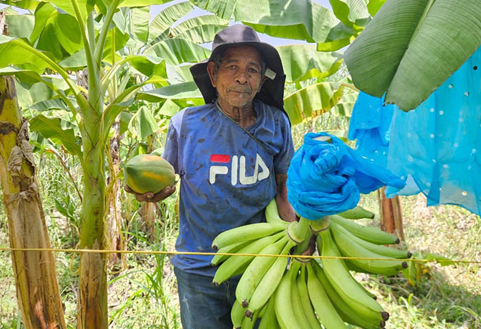 48 familias restituidas recibirán cada una $36 millones para cultivos