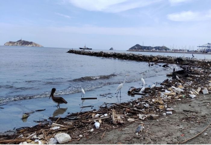 Lluvias dejaron a playa Los Cocos inundada de basuras