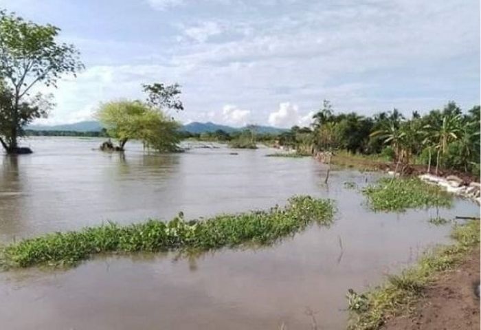 Alerta en Mata de Cañapor grave erosión del río