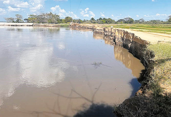 El río Magdalena amenaza con ´romper´ en Salamina