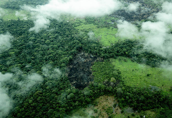 Identifican ocho áreas en la amazonia para conservación de rayas de agua dulce