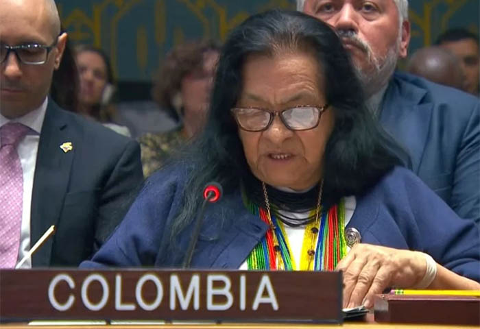 Colombia denuncia en la ONU "violación del Derecho Internacional" por parte de EE.UU.