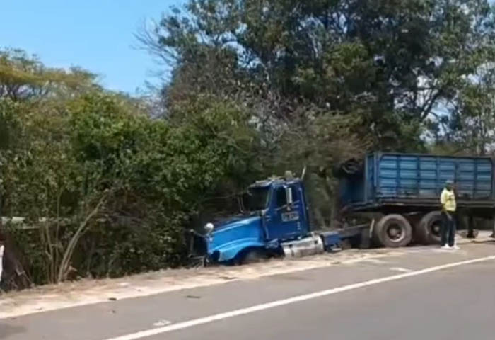 Conductor perdió el control, chocó con árbol y casi se mata