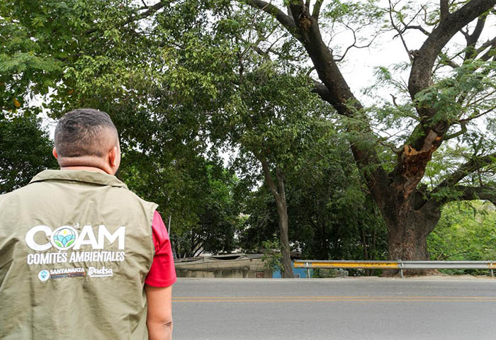 Durante 7 horas estará cerrada la Troncal del Caribe: Alcaldía