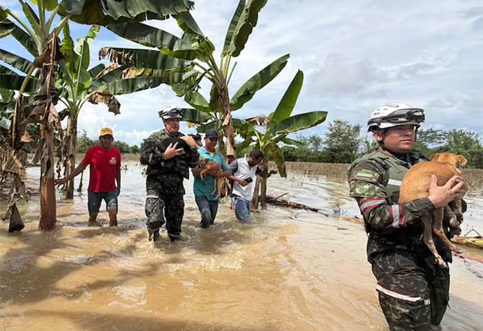 Crece la emergencia por desbordamientos del río Sinú y fuertes lluvias en Córdoba
