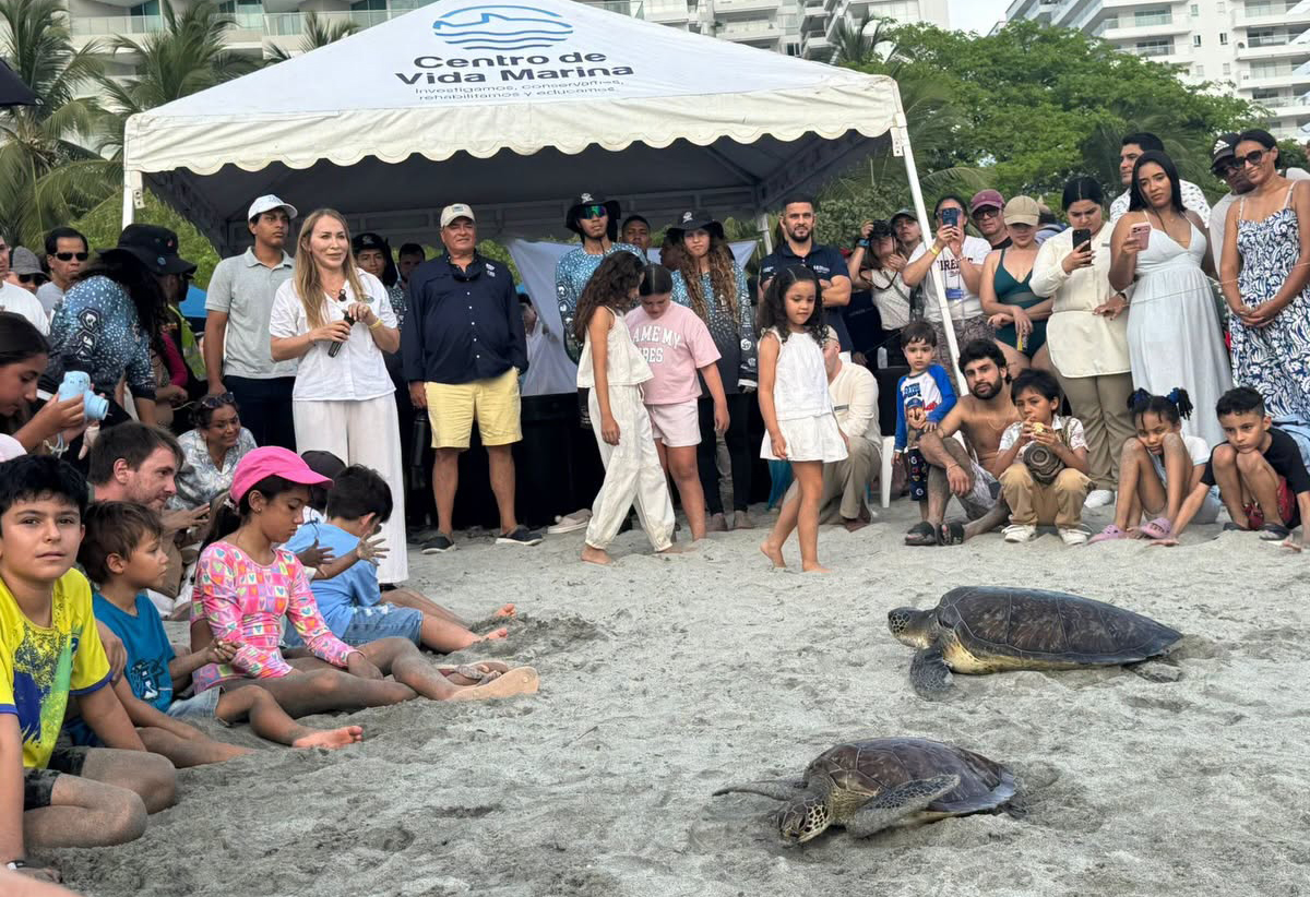 Liberaron 38 tortugas en inicio de la Semana de los Océanos