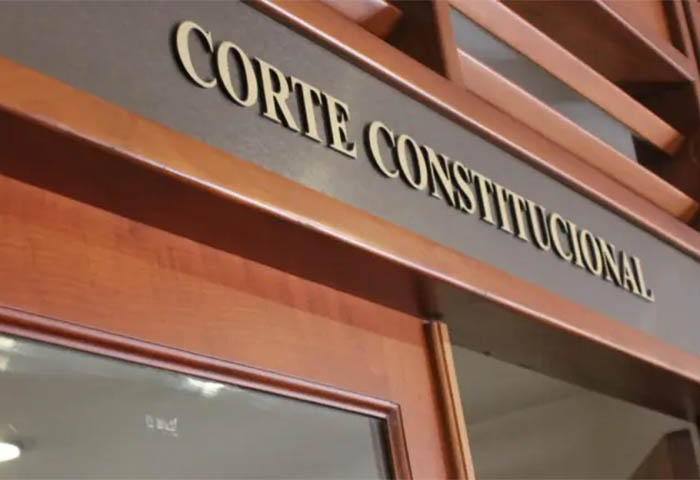 Corte Constitucional reconoció la inasistencia alimentaria como violencia económica