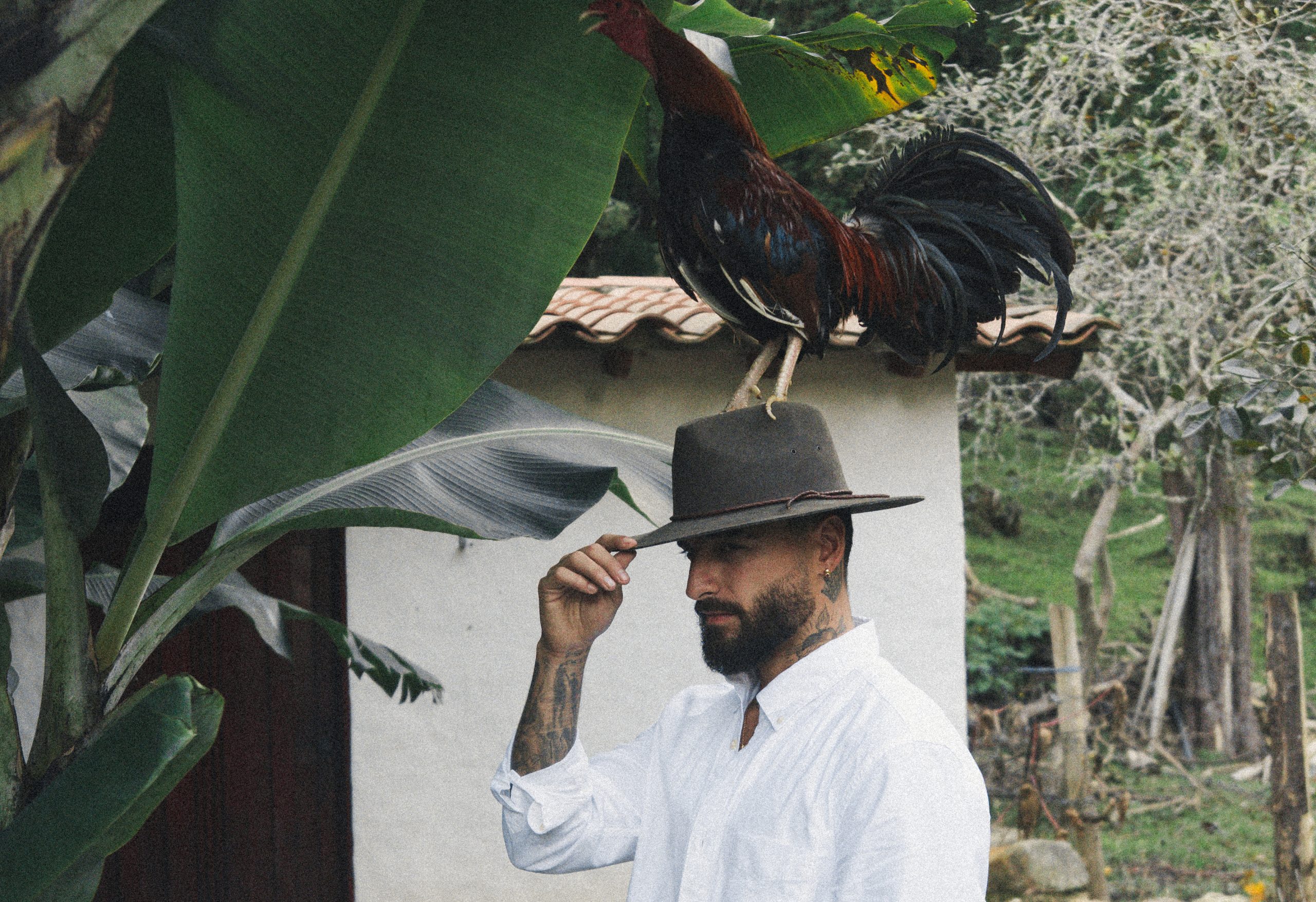Maluma estrena Loco x Volver