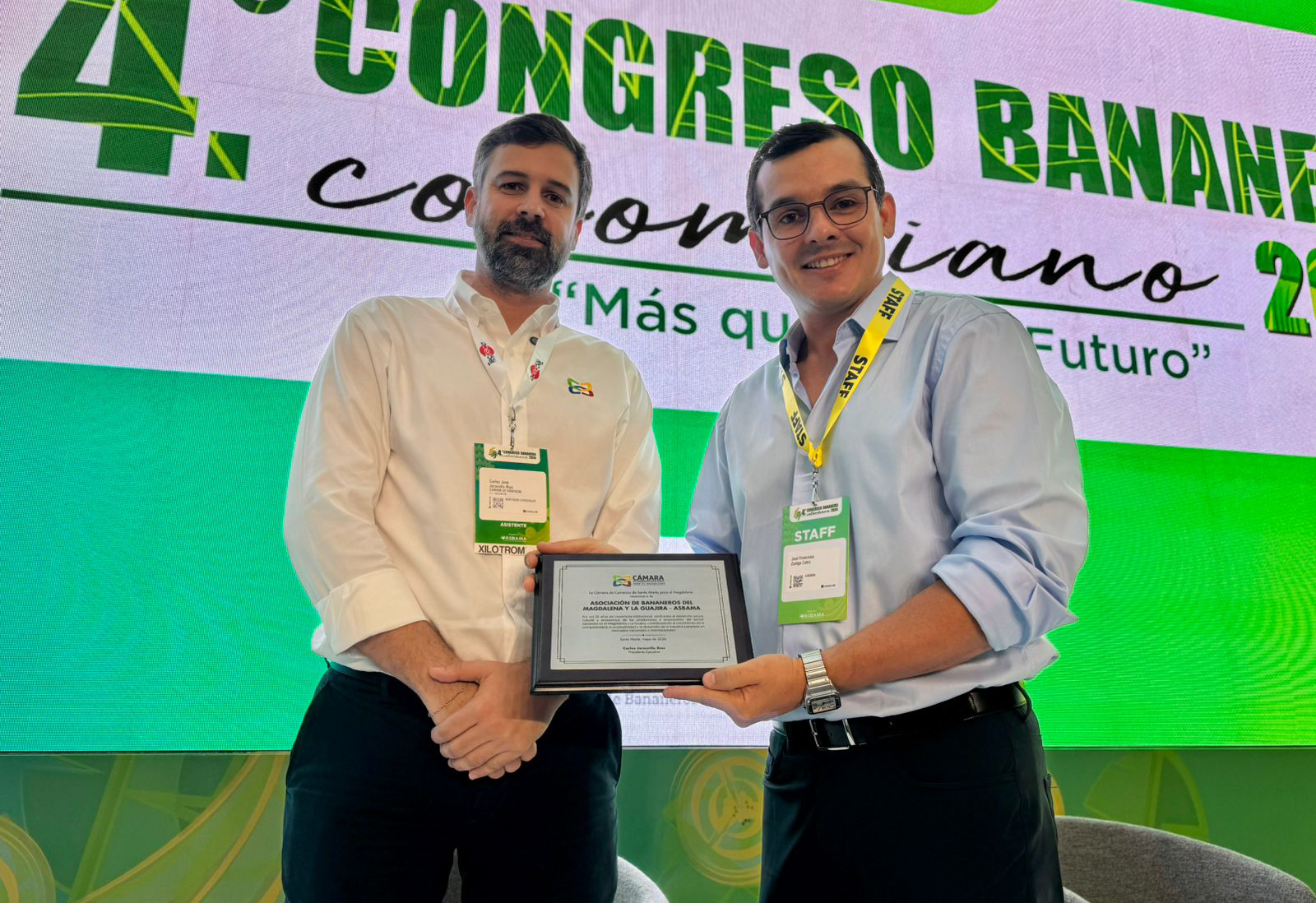 “El Magdalena se consolidó como principal referente bananero de América Latina” : Cámara de Comercio