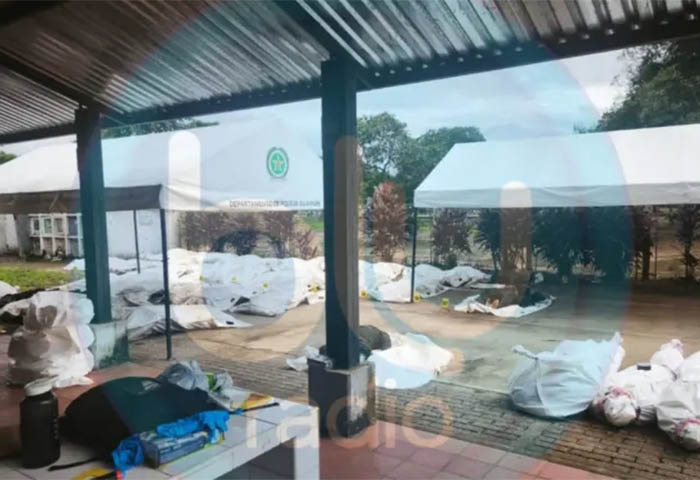 Primeras imágenes: así fue el traslado los 48 cuerpos tras sangrientos enfrentamientos en Guaviare