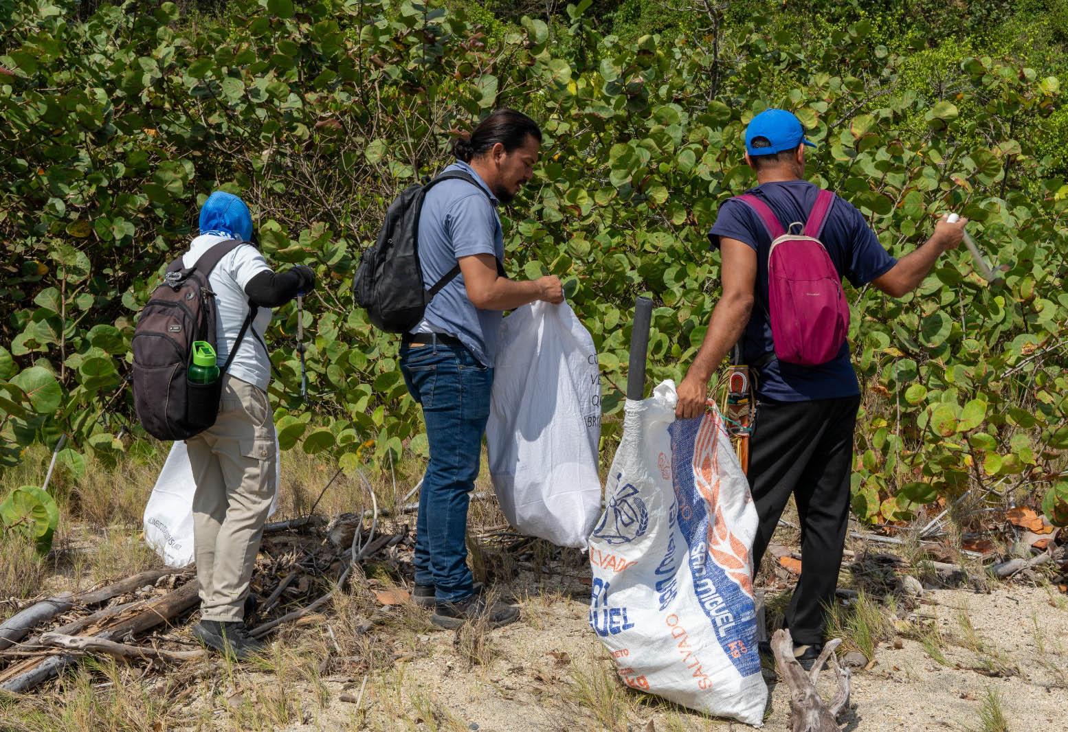 Extrajeron 60 sacos de residuos sólidos del Parque Tayrona